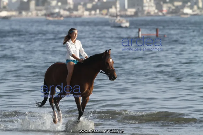 : Young girl riding bareback in the sea - Senegal : Young girl riding bareback in the sea - Senegal