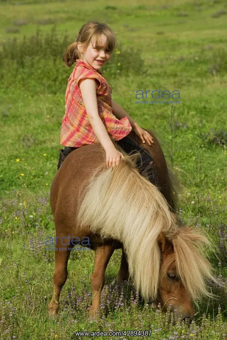  : Young girl riding Shetland Pony