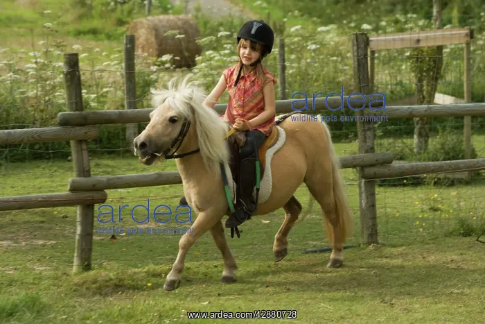  : Young girl riding Shetland Pony in paddock