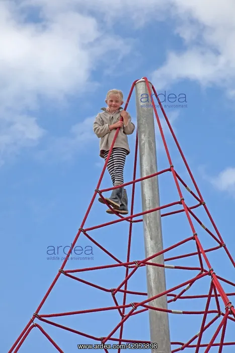 : Young girl smiling at top of space climbing net : Young girl smiling at top of space climbing net