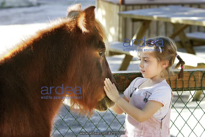 : Young girl - stroking pony : Young girl - stroking pony