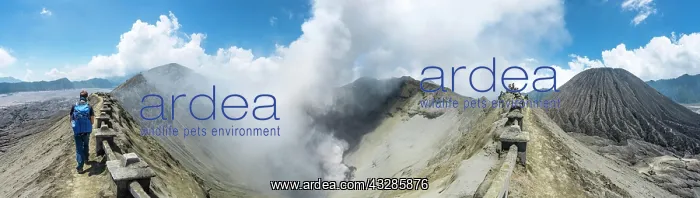 : Young man at the edge of the crater with view in : Young man at the edge of the crater with view in