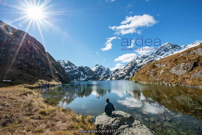 : Young man sitting on a rock, mountains reflected : Young man sitting on a rock, mountains reflected