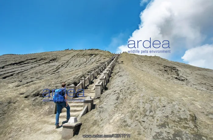 : Young man on the stairs to the crater rim of the : Young man on the stairs to the crater rim of the