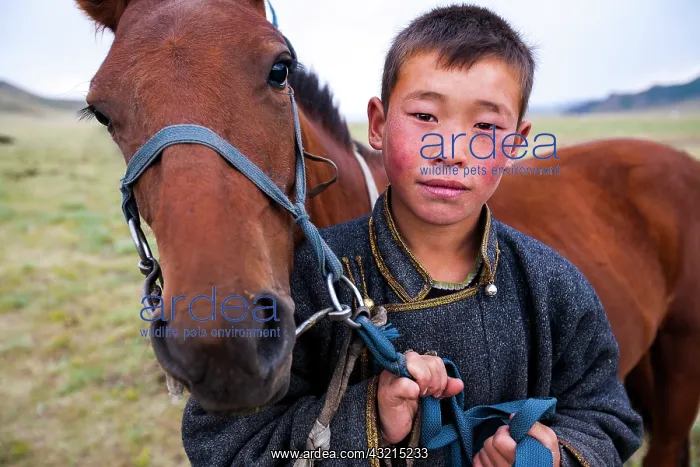 : Young Mongolian and his horse - Arkhangai Mongolia : Young Mongolian and his horse - Arkhangai Mongolia
