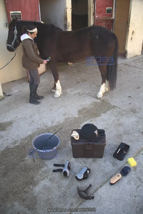 : Young rider and his equipment to heal the horse : Young rider and his equipment to heal the horse