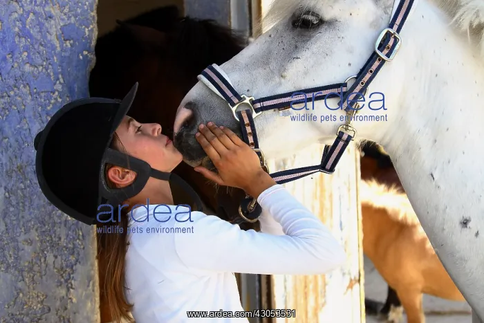 : Young rider kissing her Horse : Young rider kissing her Horse