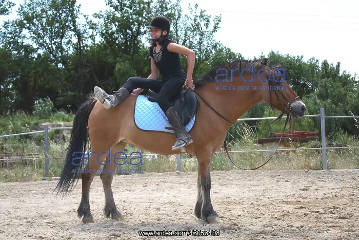: Young rider performing a relaxation exercise : Young rider performing a relaxation exercise