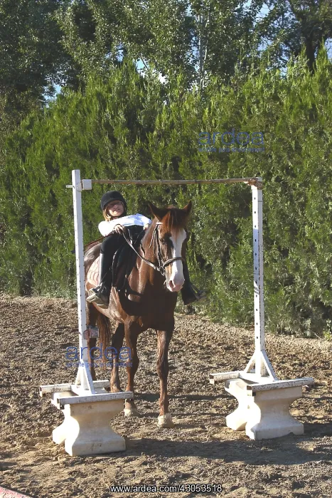 : Young rider performing a relaxation exercise : Young rider performing a relaxation exercise