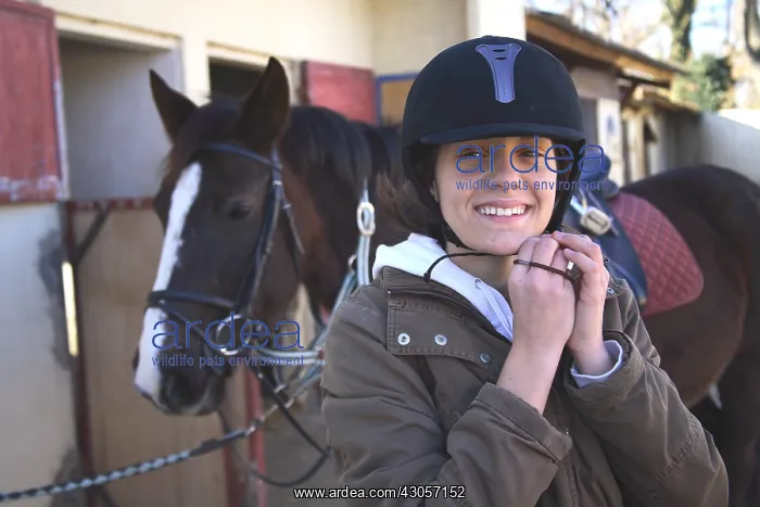 : Young rider putting her bomb before getting on Horseback : Young rider putting her bomb before getting on Horseback