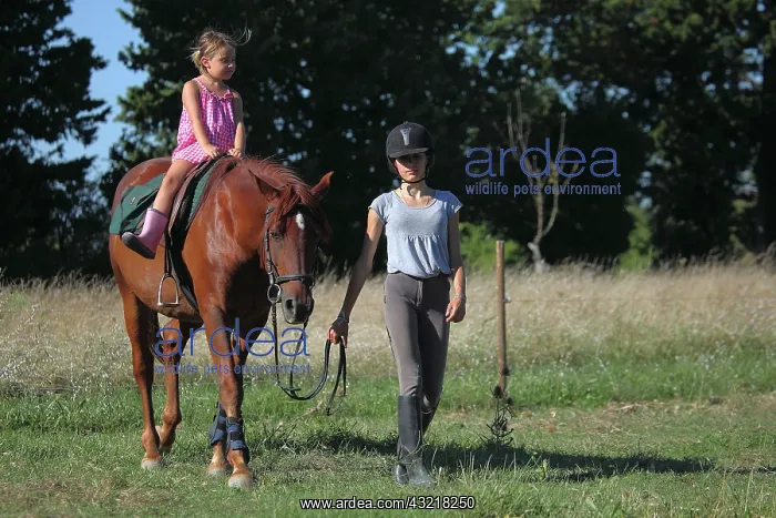 : Young Rider walking a girl riding - France : Young Rider walking a girl riding - France