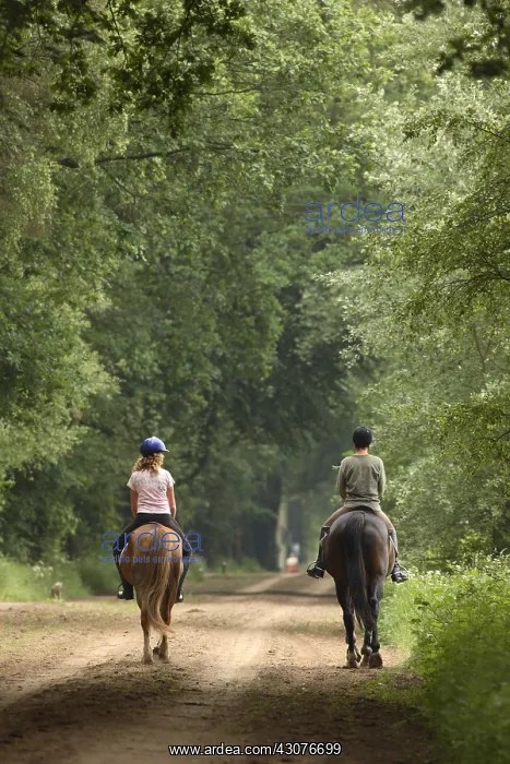 : Young riders on a forest trail at spring Netherlands : Young riders on a forest trail at spring Netherlands