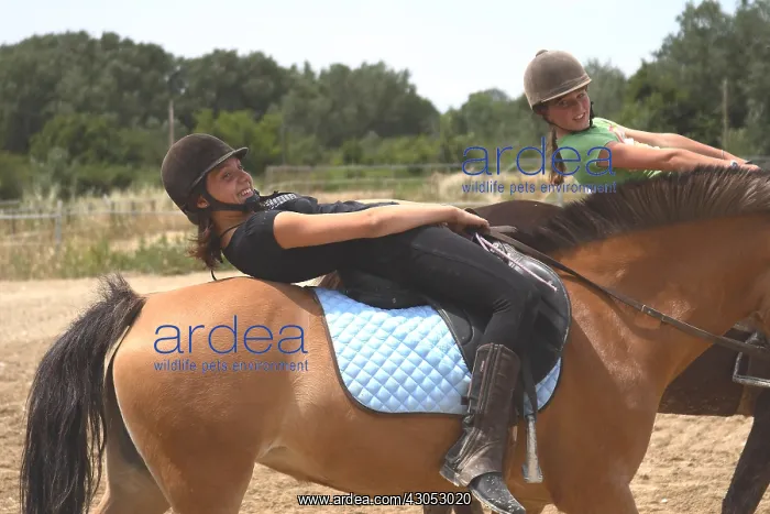  : Young riders performing a relaxation exercise