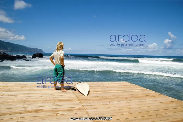 : Young surfer in Sao Vincente, Madeira, Portugal : Young surfer in Sao Vincente, Madeira, Portugal