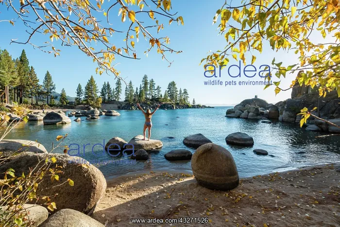 : Young woman in bikini standing on a round stone : Young woman in bikini standing on a round stone