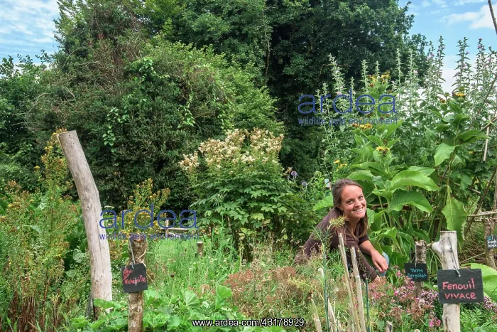 : Young woman in a garden in agroecology : Young woman in a garden in agroecology