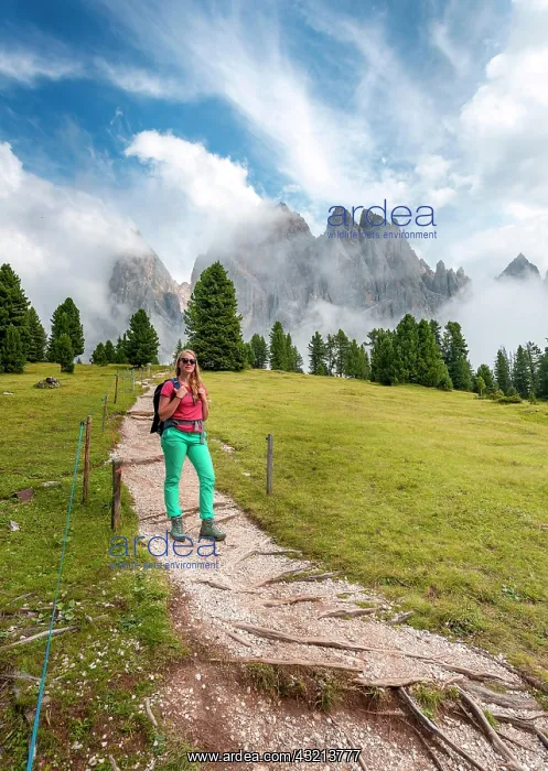 : Young woman, hiker on a hiking trail, in the back : Young woman, hiker on a hiking trail, in the back