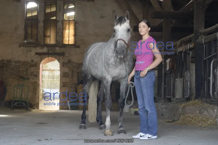 : Young woman and her horse in an equestrian center France : Young woman and her horse in an equestrian center France