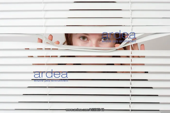 : Young woman looking curiously through blinds, Germany, E : Young woman looking curiously through blinds, Germany, E