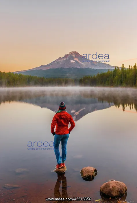 : Young woman looking at view of volcano Mt. Hood : Young woman looking at view of volcano Mt. Hood