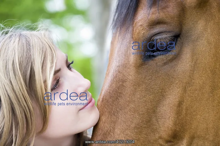 : Young woman resting her chin on the head of a Horse France : Young woman resting her chin on the head of a Horse France