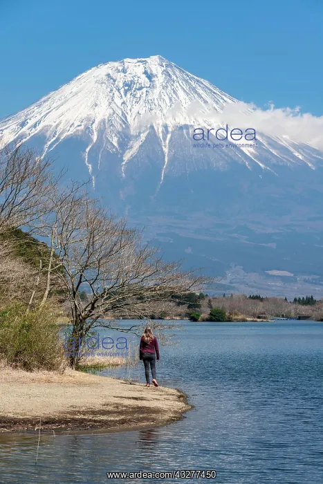 : Young woman on the shore, view over a lake to the : Young woman on the shore, view over a lake to the