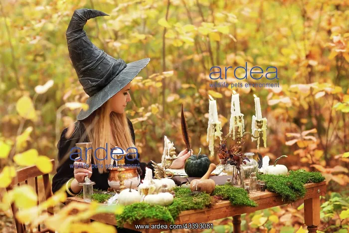 : Young woman in witch costume sitting at table with : Young woman in witch costume sitting at table with