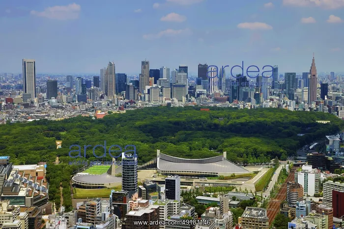  : Yoyogi National Gymnasium and Yoyogi Park Athletics Stadium, Yoyogi Park, and the Shinjuku Skyline, Tokyo, Japan
