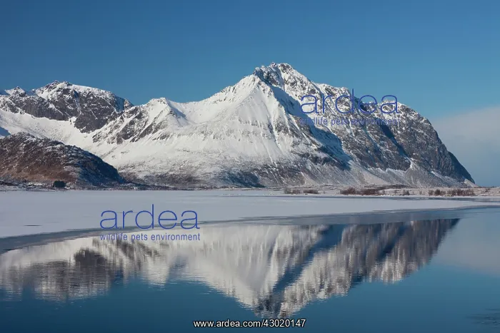 : Ytterpollen snow covered mountains reflected in water : Ytterpollen snow covered mountains reflected in water