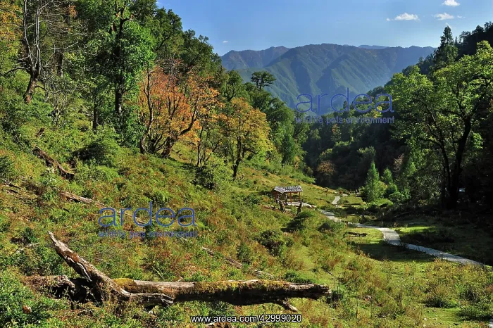 : Yunnan Province : Yunnan Province