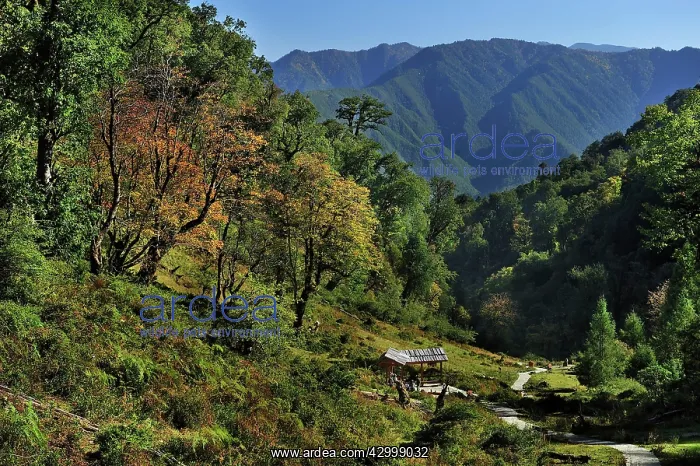 : Yunnan Province : Yunnan Province