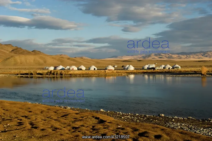 : Yurt camp : Yurt camp