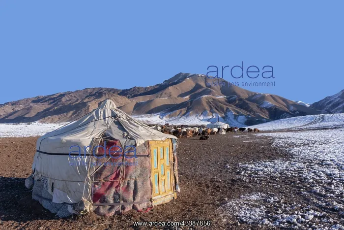 : YURT, SHEEPHOLD, ALTAI MOUNTAINS : YURT, SHEEPHOLD, ALTAI MOUNTAINS
