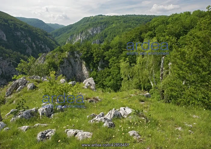 : Zadielska gorge : Zadielska gorge