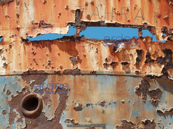 : Detail of the Zahra Shipwreck : Detail of the Zahra Shipwreck