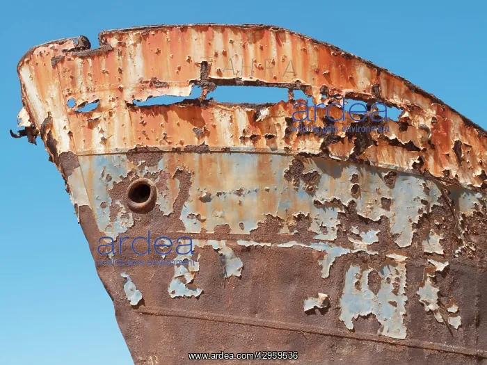 : Detail of the Zahra Shipwreck : Detail of the Zahra Shipwreck
