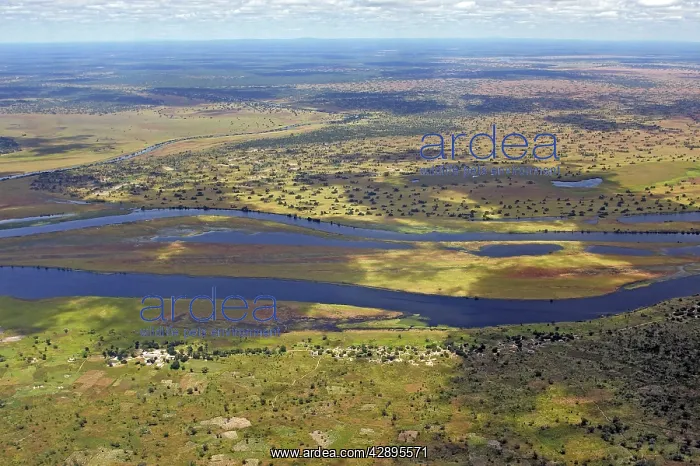 : Zambia ( ). Bangweuleu Marshes Zambia Africa