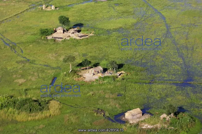 : Zambia - aerial of fisherman's hut : Zambia - aerial of fisherman's hut