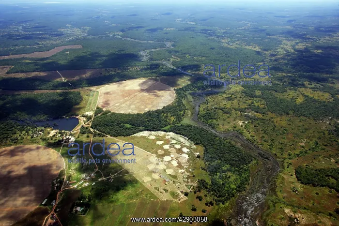  : Zambia - aerial of land between Chingola and Bangweuleu