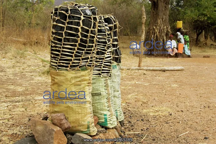 : Zambia - Charcoal is sold in abundance on Zambia's : Zambia - Charcoal is sold in abundance on Zambia's