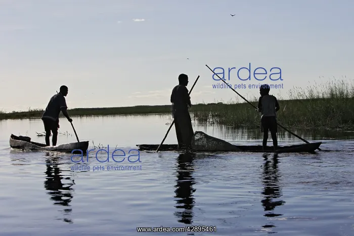 : Zambia - fishermen in the Bangweuleu marshes : Zambia - fishermen in the Bangweuleu marshes