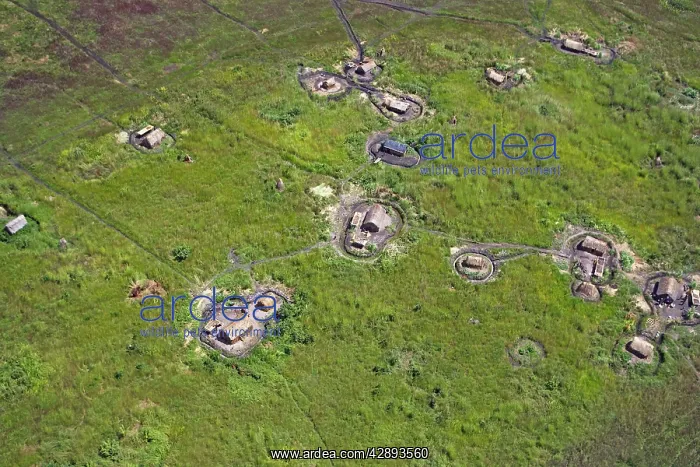 : Zambia - Flight over Bangweuleu marshes : Zambia - Flight over Bangweuleu marshes