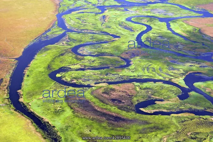 : Zambia - Flight over Bangweuleu marshes : Zambia - Flight over Bangweuleu marshes
