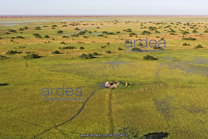 : Zambia - flight over fisherman's hut : Zambia - flight over fisherman's hut