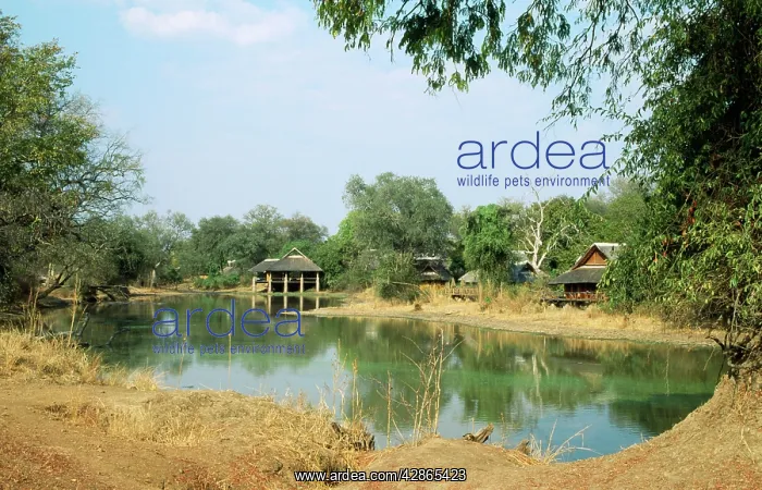 : Zambia. South Luangwa National Park - The Mfuwe : Zambia. South Luangwa National Park - The Mfuwe