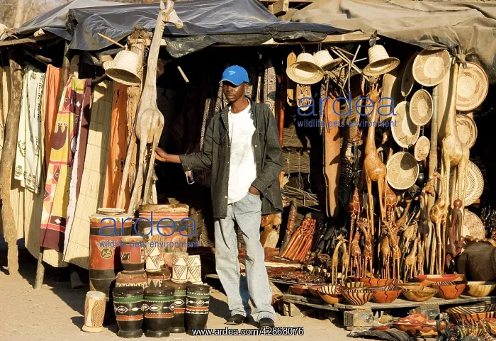 : Zambia - Souvenir stall at the entrance to the : Zambia - Souvenir stall at the entrance to the
