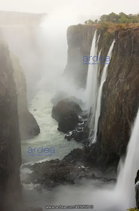 : Zambia - View of the Zambezi River and the Victoria : Zambia - View of the Zambezi River and the Victoria