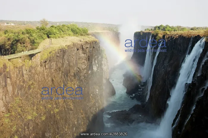 : Zambia - View of the Zambezi River and the Victoria : Zambia - View of the Zambezi River and the Victoria