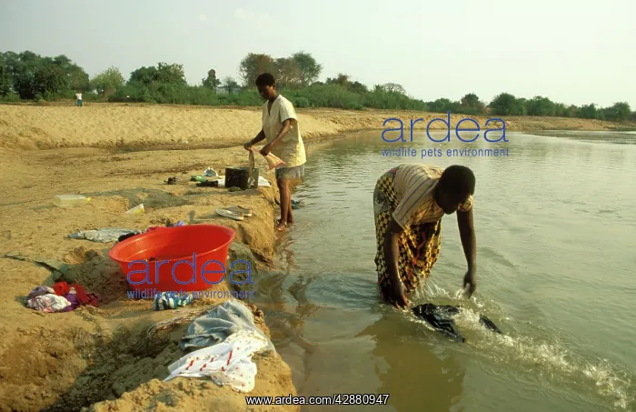 : Zambia - Washing clothes in the Luangwa river just : Zambia - Washing clothes in the Luangwa river just
