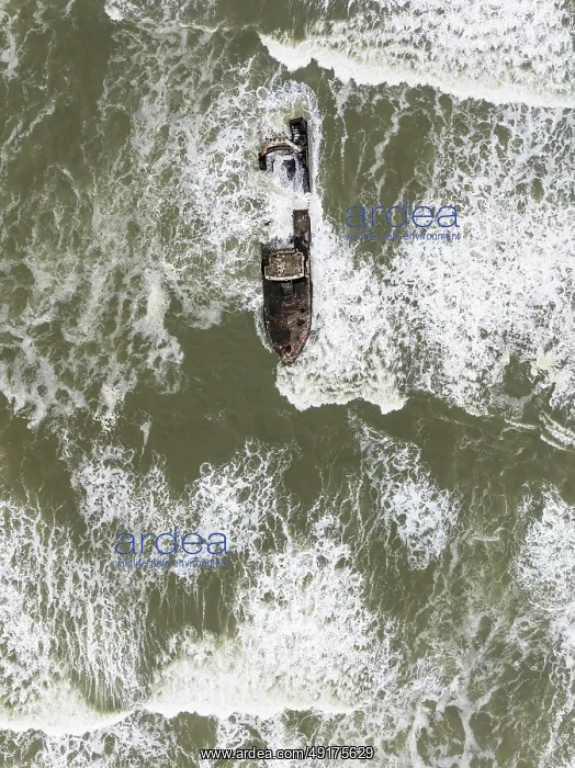 : The Zeila shipwreck at the Skeleton Coast : The Zeila shipwreck at the Skeleton Coast